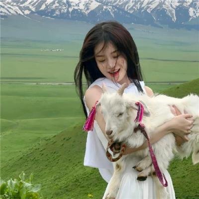 帕奥精神:凤凰高飞